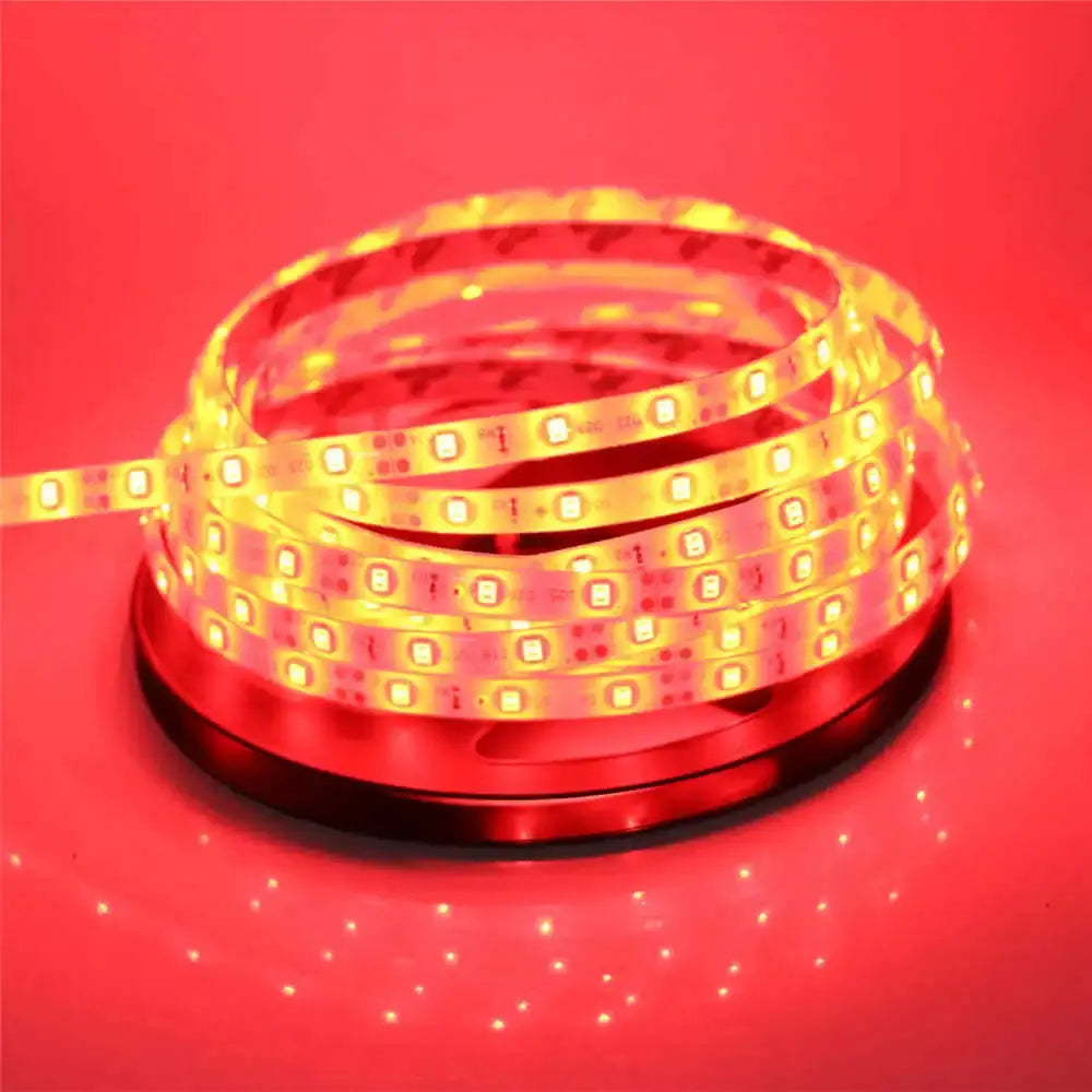 2835 SMD led streifen licht DC12V 5M 300LEDs flexible band band beleuchtung Weiß Warm weiß Rot Grün Blau gelb Rosa RGB       PST PS Tradings