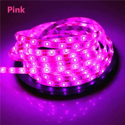 2835 SMD led streifen licht DC12V 5M 300LEDs flexible band band beleuchtung Weiß Warm weiß Rot Grün Blau gelb Rosa RGB       PST PS Tradings