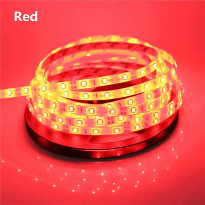 2835 SMD led streifen licht DC12V 5M 300LEDs flexible band band beleuchtung Weiß Warm weiß Rot Grün Blau gelb Rosa RGB       PST PS Tradings
