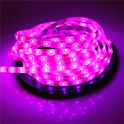 2835 SMD led streifen licht DC12V 5M 300LEDs flexible band band beleuchtung Weiß Warm weiß Rot Grün Blau gelb Rosa RGB       PST PS Tradings
