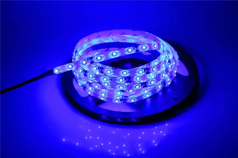2835 SMD led streifen licht DC12V 5M 300LEDs flexible band band beleuchtung Weiß Warm weiß Rot Grün Blau gelb Rosa RGB       PST PS Tradings