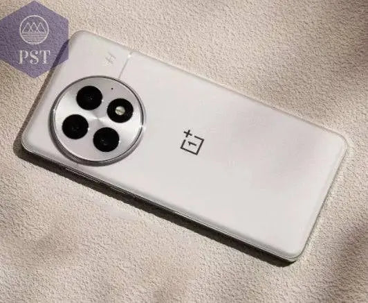 Original Oneplus 13 Mobile Phone Snapdragon 8 Elite IP69 Waterproof 100W Charge 6.82" OLED 120HZ 50.0MP Camera Android 15.0 - Property & Safety Tradings