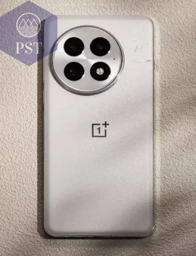 Original Oneplus 13 Mobile Phone Snapdragon 8 Elite IP69 Waterproof 100W Charge 6.82" OLED 120HZ 50.0MP Camera Android 15.0 - Property & Safety Tradings